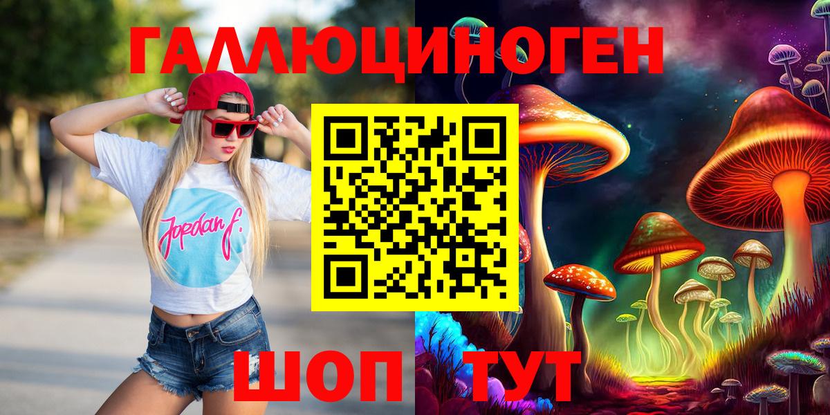 Псилоцибиновые грибы мицелий Кольчугино
