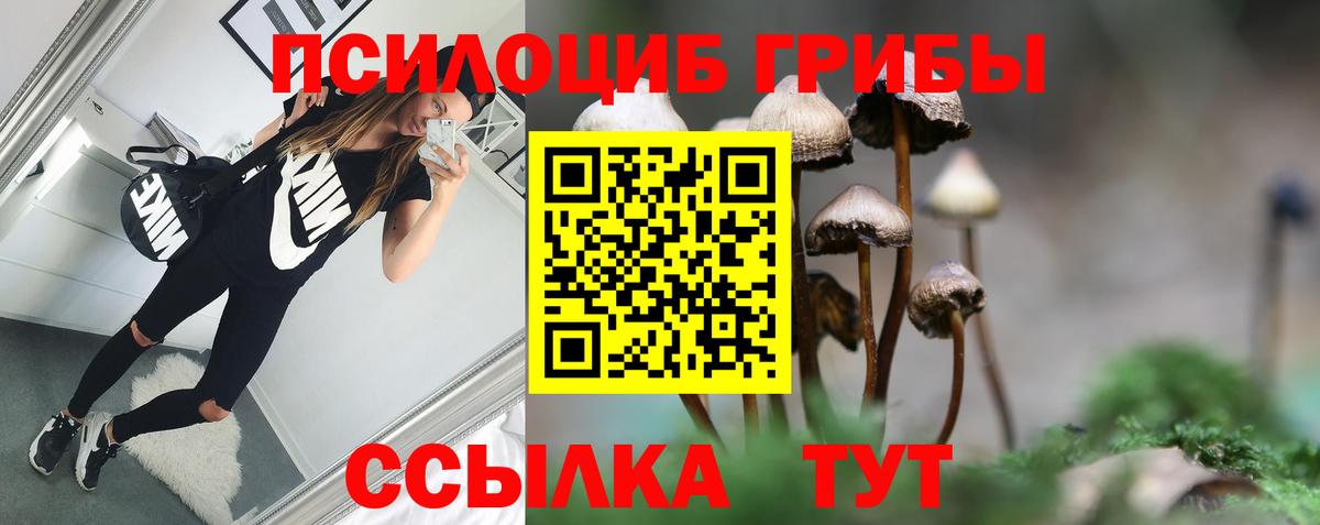Кольчугино  Псилоцибиновые грибы мицелий  Псилоцибиновые грибы Cubensis  Вход с VPN 